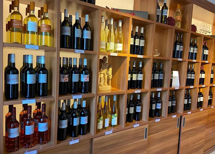 Guest house Weingut Jan Ulrich Diesbar-Seusslitz